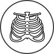 icon-of-bone-health