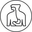 icon-of-chronic-diseases